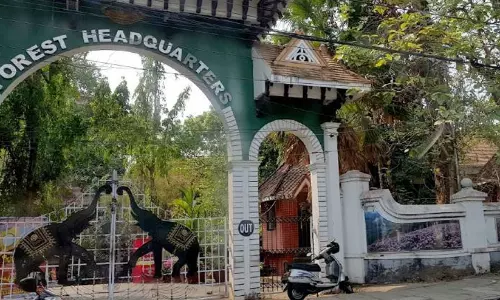 വനം വകുപ്പിലും​ അഴിച്ചുപണി:18 ഐ.എഫ്.എസുകാർക്ക്​ സ്ഥലംമാറ്റം