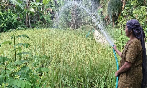 കട്ടച്ചൂട്; ആശങ്കയുടെ കരിനിഴൽ
