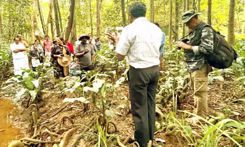 വനമേഖലയുടെ ആവാസ വ്യവസ്ഥ പഠിക്കാന്‍ മാധ്യമ സംഘം പെരിങ്ങമ്മലയില്‍