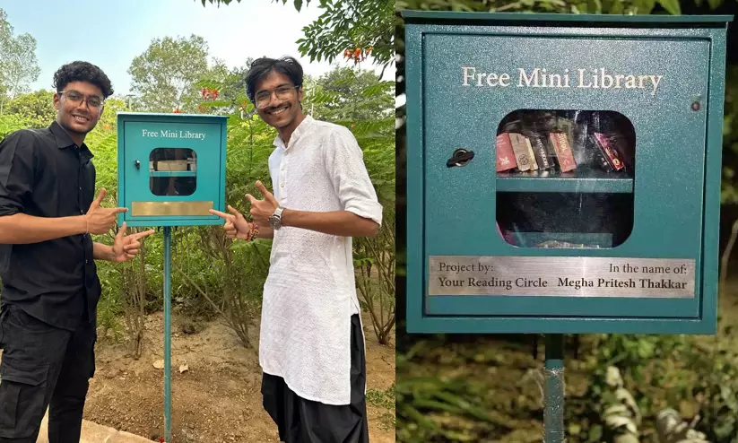 mini library mini library