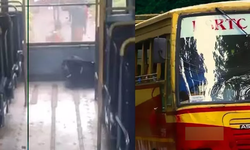 ഷട്ടറടച്ചും ഓടിരക്ഷപ്പെടാൻ ശ്രമിച്ചും യാത്രക്കാർ; പെരുന്തേനീച്ച കുത്തേറ്റ് 17 പേർക്ക് പരുക്ക് ഷട്ടറടച്ചും ഓടിരക്ഷപ്പെടാൻ ശ്രമിച്ചും യാത്രക്കാർ; പെരുന്തേനീച്ച കുത്തേറ്റ് 17 പേർക്ക് പരുക്ക്