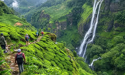 മാറുന്ന മുഖവുമായി വയനാട് ടൂറിസം; 13 ലക്ഷത്തിലധികം സഞ്ചാരികളെത്തി, കരുതലോടെയുള്ള യാത്രകൾ അനിവാര്യം മാറുന്ന മുഖവുമായി വയനാട് ടൂറിസം; 13 ലക്ഷത്തിലധികം സഞ്ചാരികളെത്തി, കരുതലോടെയുള്ള യാത്രകൾ അനിവാര്യം
