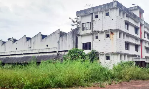 ക്വിറ്റ് കോസ് നശിക്കുന്നു: മന്ത്രിയുടെ ഇടപെടൽ പ്രതീക്ഷിച്ച് ജനം