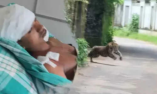 നാദാപുരത്ത് അജ്ഞാത ജീവിയുടെ ആക്രമണം; പ്രദേശത്ത് ജാഗ്രതാ നിർദ്ദേശം, സ്കൂളുകൾക്ക് അവധി നാദാപുരത്ത് അജ്ഞാത ജീവിയുടെ ആക്രമണം; പ്രദേശത്ത് ജാഗ്രതാ നിർദ്ദേശം, സ്കൂളുകൾക്ക് അവധി
