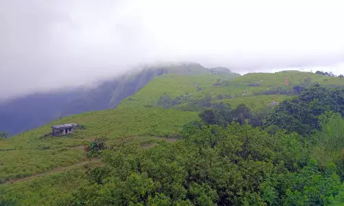 സീറോ ലാൻഡ്‌ലെസ് പദ്ധതി പാതിവഴിയിൽ; സൗജന്യമായി ലഭിച്ച ഭൂമിയിൽ വീടുവെക്കാനാകാതെ ഭവനരഹിതർ