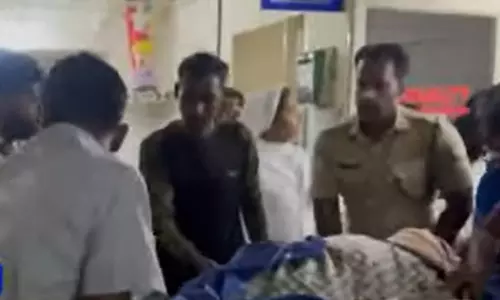 പാലക്കാട് കാട്ടാന ആക്രമണത്തിൽ വിനോദസഞ്ചാരിയായ സ്ത്രീ മരിച്ചു പാലക്കാട് കാട്ടാന ആക്രമണത്തിൽ വിനോദസഞ്ചാരിയായ സ്ത്രീ മരിച്ചു