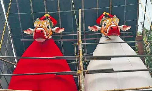 വിസ്മയക്കാഴ്ചകളൊരുക്കി  ഓച്ചിറ കാളകെട്ടുത്സവം ഇന്ന്