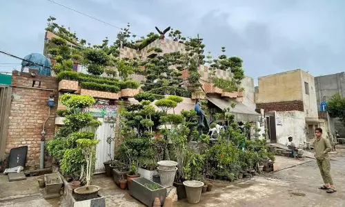 അമ്മയുടെ പുഞ്ചിരിക്കായി മകൻ നട്ടത് 5700 ചെടികൾ; 10 വർഷം കൊണ്ട് വീടിനെ ചെറിയ വനമാക്കി പാകിസ്താനി യുവാവ്