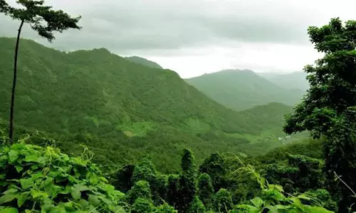 ‘പ​രി​സ്ഥി​തി ലോ​ല മേ​ഖ​ല അ​പാ​ക​ത​ പ​രി​ഹ​രി​ക്ക​ണം’; മു​ഖ്യ​മ​ന്ത്രി​ക്ക് എം.​എ​ൽ.​എ​യു​ടെ ക​ത്ത്
