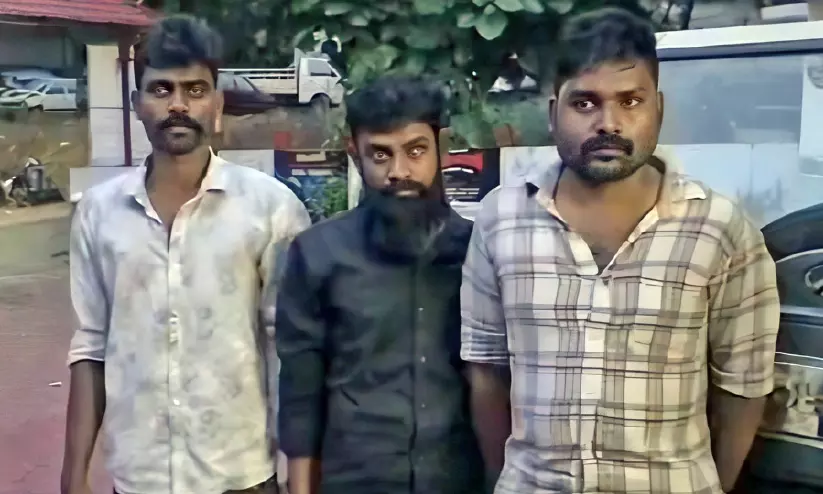 650 കിലോയിലധികം ഒട്ടുപാൽ മോഷ്ടിച്ചു; മൂന്നുപേർ അറസ്റ്റിൽ 650 കിലോയിലധികം ഒട്ടുപാൽ മോഷ്ടിച്ചു; മൂന്നുപേർ അറസ്റ്റിൽ