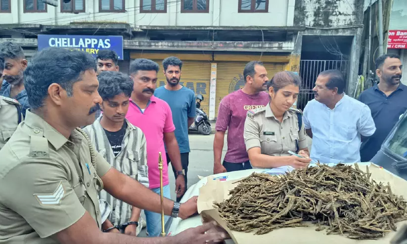രണ്ടേകാൽ കിലോ കഞ്ചാവുമായി ബംഗാൾ സ്വദേശി പിടിയിൽ രണ്ടേകാൽ കിലോ കഞ്ചാവുമായി ബംഗാൾ സ്വദേശി പിടിയിൽ