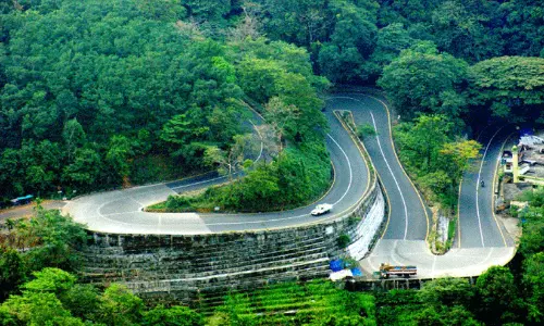 വന്യമൃഗങ്ങളും കോടമഞ്ഞും നിറഞ്ഞ മലനിരകളും: വയനാടിന്റെ മറഞ്ഞിരിക്കുന്ന സൗന്ദര്യം തേടി
