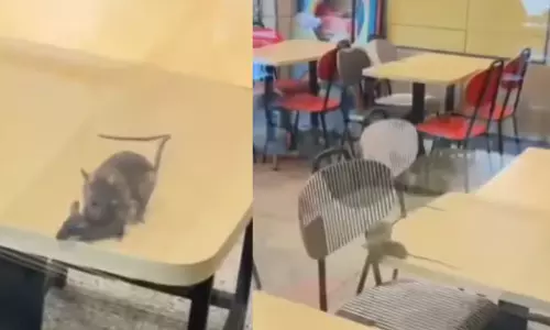 https://www.madhyamam.com/tags/mcdonalds