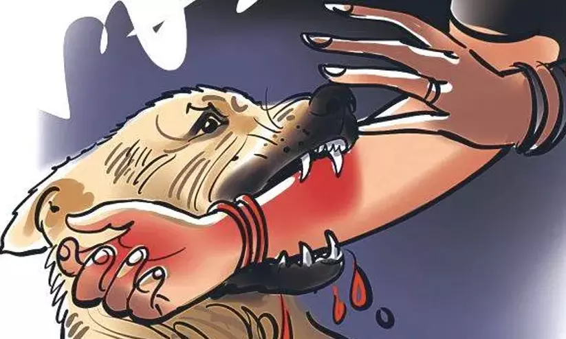 തെരുവുനായ് ആക്രമണം; ഈ വർഷം കടിയേറ്റത് 22,457 പേർക്ക് തെരുവുനായ് ആക്രമണം; ഈ വർഷം കടിയേറ്റത് 22,457 പേർക്ക്