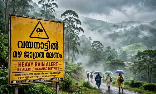 ക്വാ​റി​ക​ൾ, സാ​ഹ​സി​ക ടൂ​റി​സം കേ​ന്ദ്ര​ങ്ങ​ൾ, ട്ര​ക്കി​ങ് നി​ർ​ത്ത​ണം; വയനാട്ടിൽ കർശന നിർദ്ദേശം