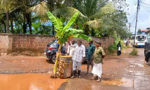 അ​ധി​കൃ​ത​ർ വാ​ക്ക് പാ​ലി​ച്ചി​ല്ല; കോ​ൺ​വെ​ന്റ് ജ​ങ്​​ഷ​ൻ റോ​ഡി​ൽ വാ​ഴ​ന​ട്ട് പ്ര​തി​ഷേ​ധം