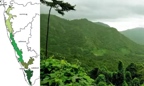 https://www.madhyamam.com/tags/western-ghat
