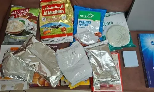 Food Packets Hide 9.4 Kg Gold Food Packets Hide 9.4 Kg Gold