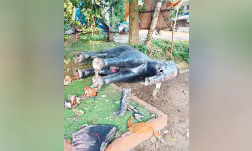 മുതുപിലാക്കാട് സംഘർഷം, വ്യാപക അക്രമം മുതുപിലാക്കാട് സംഘർഷം, വ്യാപക അക്രമം