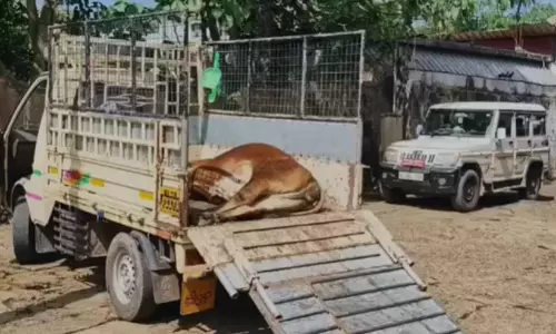 ഇറച്ചി വിൽപന വിവാദം; കായംകുളം മാർക്കറ്റിൽ സി.സി ടി.വി നിരീക്ഷണം വേണമെന്ന്
