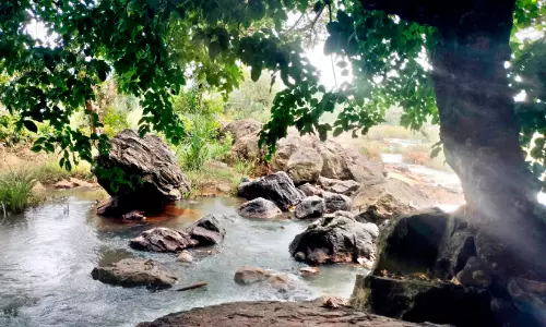 പു​ൽ​പ​ള്ളി മേ​ഖ​ല​യെ കാ​ത്ത് വ​ര​ൾ​ച്ച...