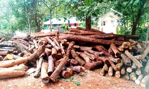 വനവത്കരണം കടലാസിൽ; ഓരോ ദിവസവും മുറിച്ചുമാറ്റുന്നത് നൂറുകണക്കിന് മരങ്ങൾ