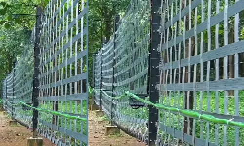കേരളത്തിലെ ആദ്യ പദ്ധതി; കാട്ടാനകളെ മെരുക്കാൻ മുള്ളരിങ്ങാട് എ.ഐ സ്മാർട്ട് ഫെൻസിങ് കേരളത്തിലെ ആദ്യ പദ്ധതി; കാട്ടാനകളെ മെരുക്കാൻ മുള്ളരിങ്ങാട് എ.ഐ സ്മാർട്ട് ഫെൻസിങ്