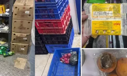 പൂപ്പല്‍ ബാധിച്ച ഭക്ഷ‍്യവസ്തുക്കളും ചീഞ്ഞഴുകിയ പച്ചക്കറികളും; ഇന്‍സ്റ്റമാര്‍ട്ട്, സെപ്റ്റോ സ്റ്റോറുകള്‍ക്കെതിരെ നടപടി