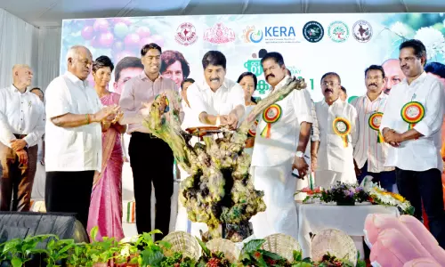 പ്രകൃതിക്ഷോഭം; കര്‍ഷകര്‍ക്ക് നഷ്ടപരിഹാരം ഈ മാസം -മന്ത്രി ടി. ​സി​ദ്ദീ​ഖ്