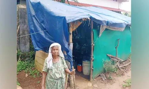 പാതയോരത്തെ ഷെഡിൽ വയോധിക ദമ്പതികൾക്ക് ദുരിതജീവിതം