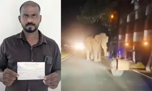 https://www.madhyamam.com/tags/bandipur https://www.madhyamam.com/tags/bandipur