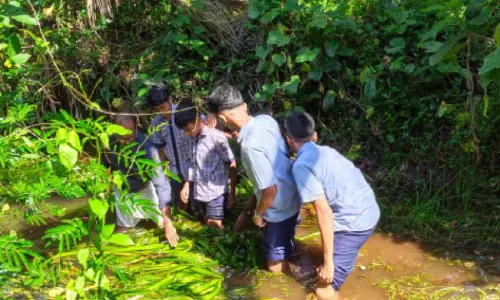 പോളത്താളി സംരക്ഷിക്കാൻ പിലിക്കോട് പഞ്ചായത്ത്