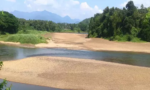 മ​ഴ​ക്കു​റ​വ്; ഇ​രി​ട്ടി പു​ഴ വ​ര​ളു​ന്നു