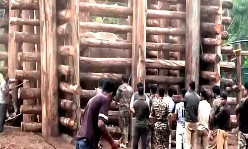 ക​ണ്ണൂ​ർ മ​ഖ്ന​ ഇനി മു​ത്ത​ങ്ങ​യി​ലെ ആ​ന​ക്കൊ​ട്ടി​ലി​ൽ