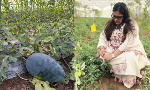 Purva Jindal Purva Jindal
