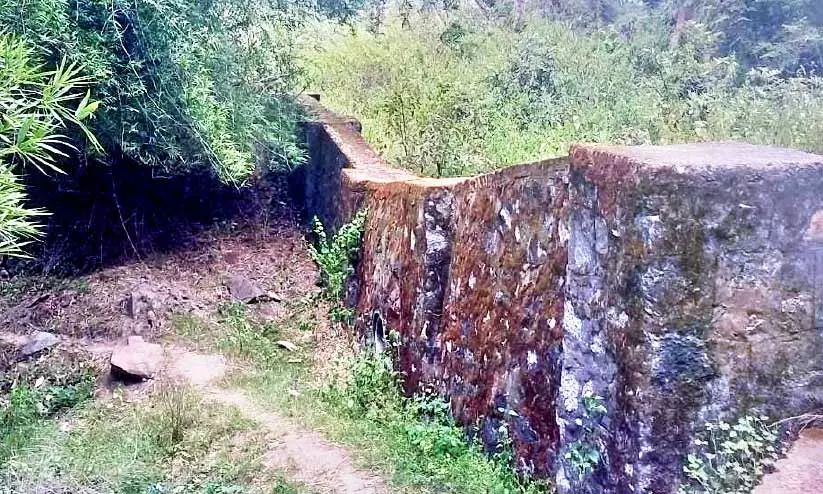 വന്യജീവി പ്രതിരോധ സംവിധാനം കാര്യക്ഷമമല്ല; നെൽകർഷകർ പ്രതിസന്ധിയിൽ വന്യജീവി പ്രതിരോധ സംവിധാനം കാര്യക്ഷമമല്ല; നെൽകർഷകർ പ്രതിസന്ധിയിൽ