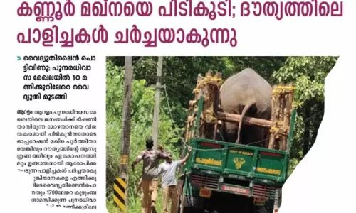 ആനയെ കയറ്റിയ ലോറി വൈദ്യുതി ലൈനിൽ തട്ടിയ സംഭവം; അന്വേഷണം നടത്തും