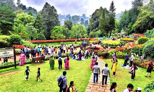 നിയന്ത്രണങ്ങൾ കർശനമാക്കി; നീലഗിരിയിലേക്ക് സഞ്ചാരികളുടെ ഒഴുക്ക് കുറഞ്ഞത് വ്യാപാരികൾക്ക് തിരിച്ചടിയാകുന്നു