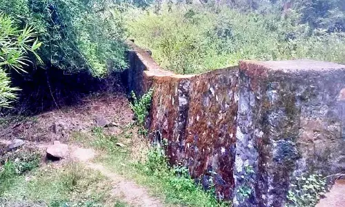 വന്യജീവി പ്രതിരോധ സംവിധാനം കാര്യക്ഷമമല്ല; നെൽകർഷകർ പ്രതിസന്ധിയിൽ
