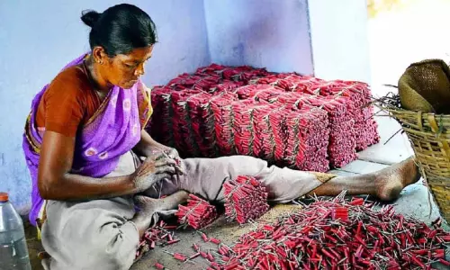 മാലപ്പടക്കങ്ങൾക്ക് നിർമാണാനുമതി: സ്വാഗതം ചെയ്ത് നിർമാതാക്കൾ