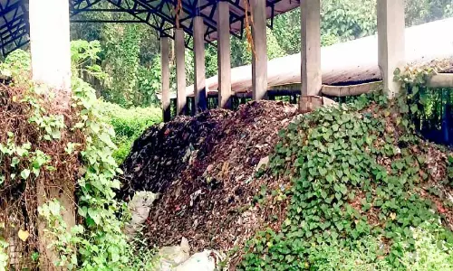 മണ്ഡലകാലം ആരംഭിക്കാൻ ദിവസങ്ങൾ ബാക്കി: കവുങ്ങുംകുഴി പ്ലാന്റിലെ മാലിന്യം സംസ്കരിക്കണം മണ്ഡലകാലം ആരംഭിക്കാൻ ദിവസങ്ങൾ ബാക്കി: കവുങ്ങുംകുഴി പ്ലാന്റിലെ മാലിന്യം സംസ്കരിക്കണം