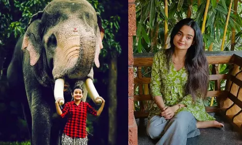‘ആനയെന്നാൽ എന്‍റെ മനസിൽ ആദ്യം അവനാണ്’; പല്ലാട്ട്  ബ്രഹ്മദത്തന്‍റെ വേർപാടിൽ വൈകാരിക കുറിപ്പുമായി മീനാക്ഷി അനൂപ്