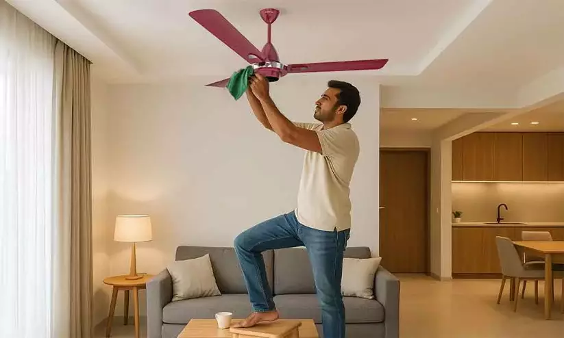 വീട്ടിലെ പൊടി കുറയ്ക്കാൻ എളുപ്പവഴികൾ വീട്ടിലെ പൊടി കുറയ്ക്കാൻ എളുപ്പവഴികൾ