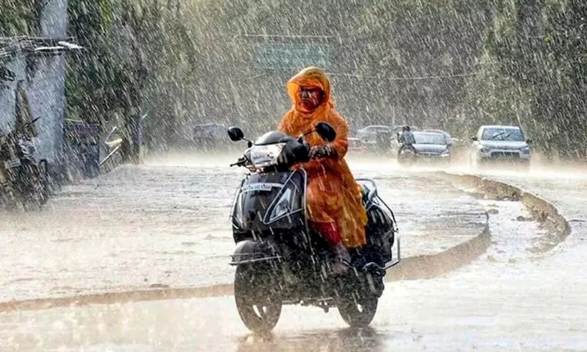 https://www.madhyamam.com/tags/rain https://www.madhyamam.com/tags/rain