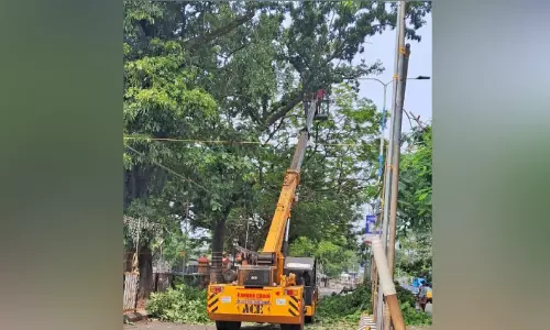 മഴക്കാലപൂർവ പ്രവർത്തനം നടത്തിയത് കൊടുംചൂടിലെന്ന് ആക്ഷേപം