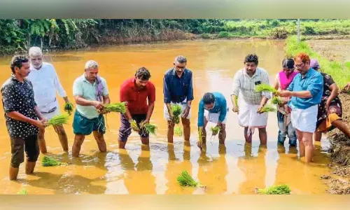 നൂ​റു​മേ​നി ആ​വേ​ശ​ത്തി​ൽ ത​രി​ശ് നി​ല​ത്ത് ന​ടീ​ൽ ഉ​ത്സ​വം