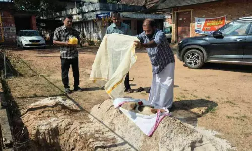 താ​ലൂ​ക്ക്​ ഓഫിസി​ന്റെ കാ​വ​ൽ​ക്കാ​രി ‘ശാ​ന്ത’​ക്ക് ക​ണ്ണീ​രോ​ടെ വി​ട...പൊ​ന്നാ​ട പു​ത​പ്പി​ച്ച് യാ​ത്ര​യാ​ക്കി ജീ​വ​ന​ക്കാ​ർ