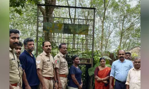 മാങ്കുറ്റിപ്പാടത്ത് പുലി കൂടുസ്ഥാപിച്ച് വനംവകുപ്പ്