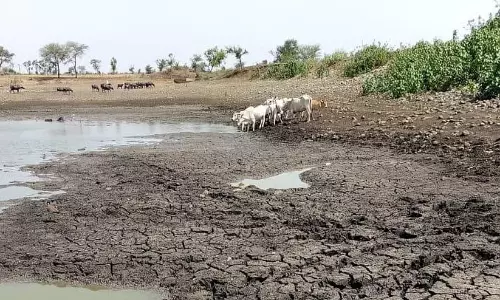 13 ശതമാനം മഴക്കുറവ് മാത്രം: കോടികൾ ചെലവിട്ട് ജലസംരക്ഷണം; എന്നിട്ടും രാജ്യം വരൾച്ചയിൽ
