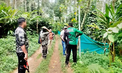 https://www.madhyamam.com/tags/elephant